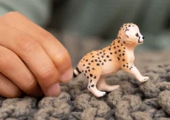 Gepardenbaby