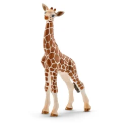 Giraffenbaby