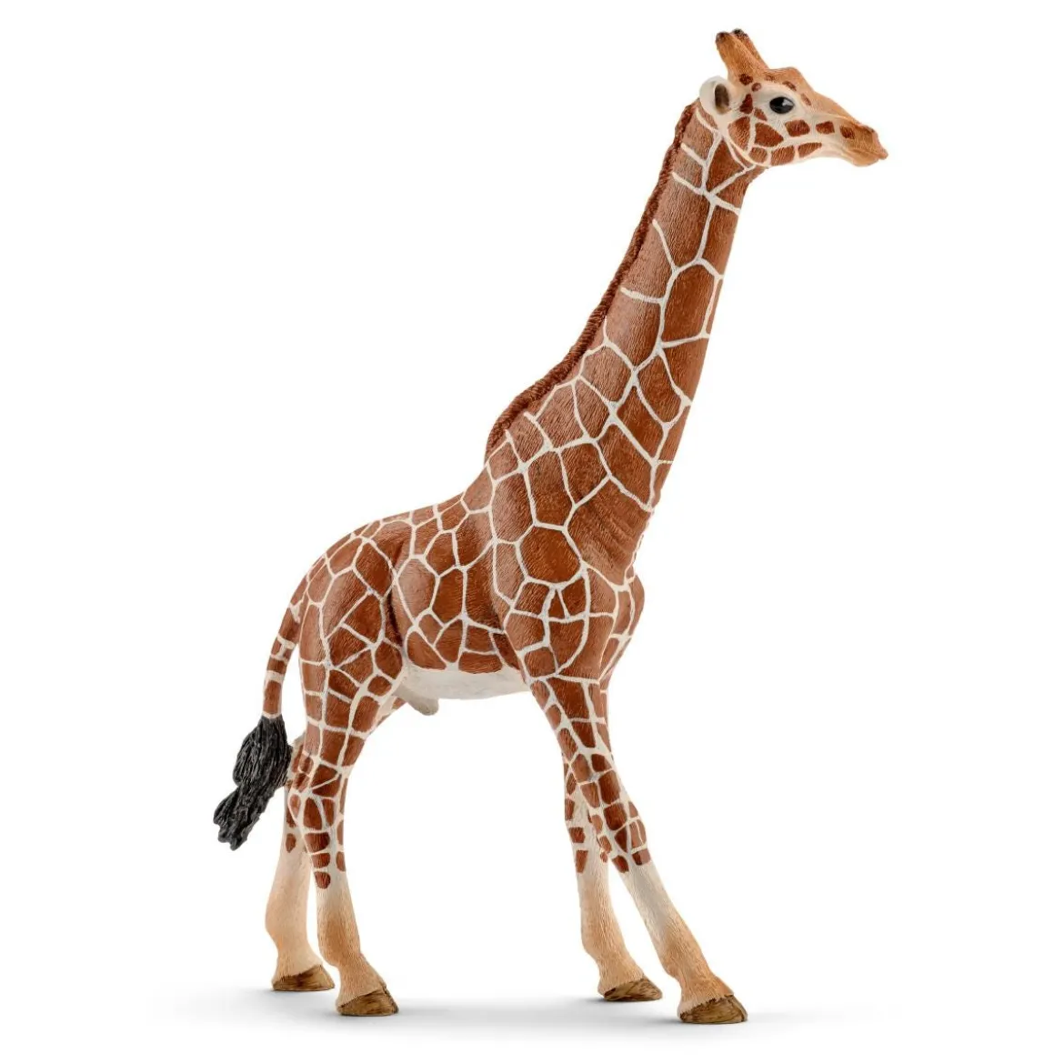 Giraffenbulle