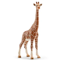 Giraffenkuh