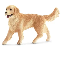 Golden Retriever Hündin
