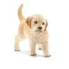 Golden Retriever Welpe