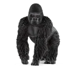 Gorilla Männchen