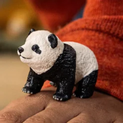 Großer Panda Junges