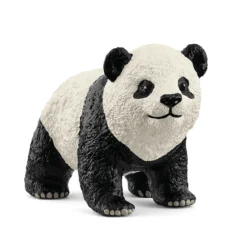 Großer Panda Junges
