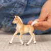 Haflinger Fohlen