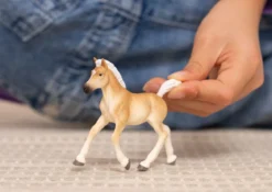 Haflinger Fohlen
