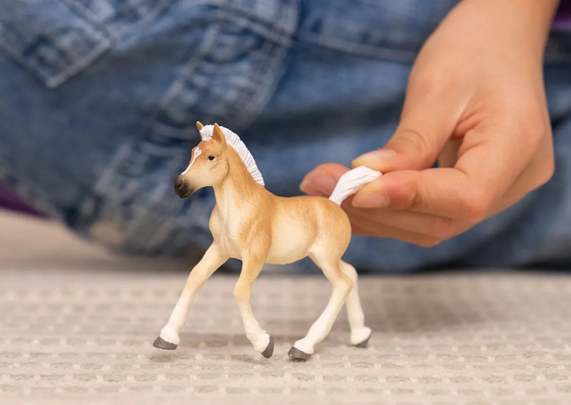 Haflinger Fohlen