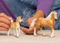Haflinger Stute