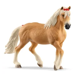 Haflinger Stute