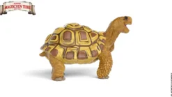 Henrietta die Schildkröte