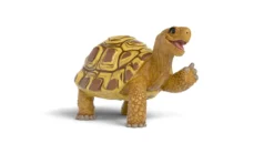 Henrietta die Schildkröte