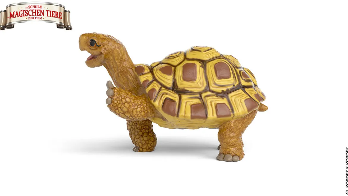 Henrietta die Schildkröte