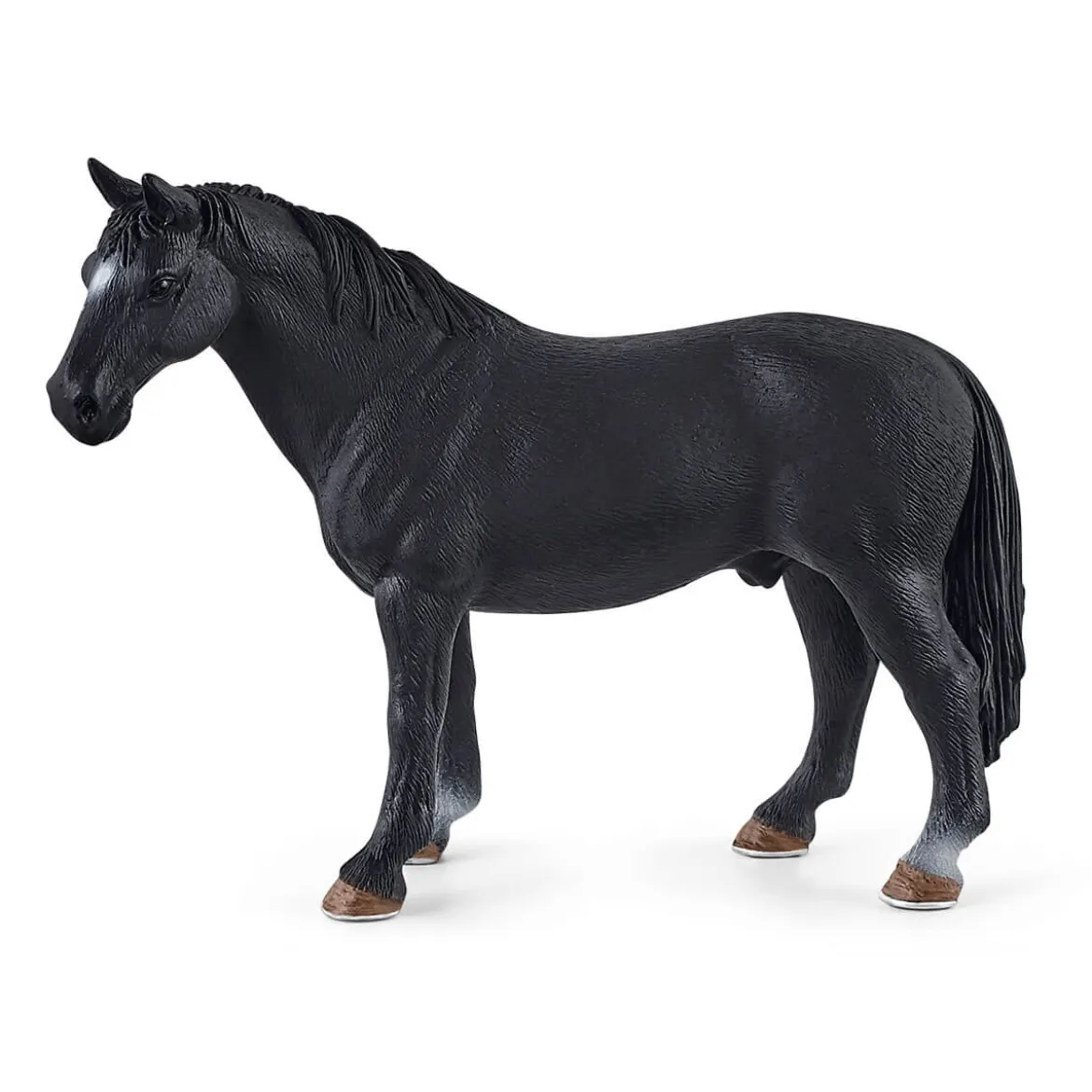 HORSE CLUB Lakeside Pferdehof