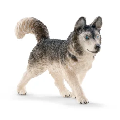 Husky