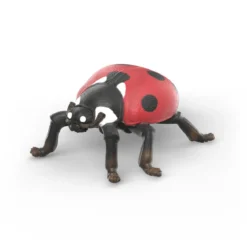 Insekten Entdecker Set