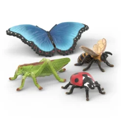 Insekten Entdecker Set