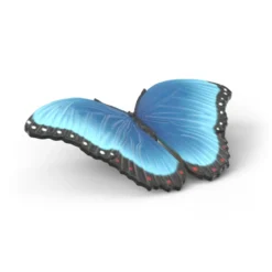 Insekten Entdecker Set