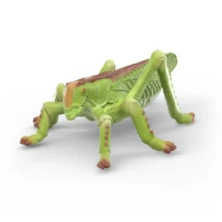 Insekten Entdecker Set
