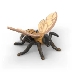 Insekten Entdecker Set