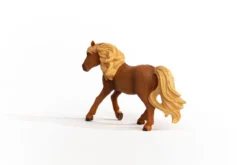 Island Pony Hengst