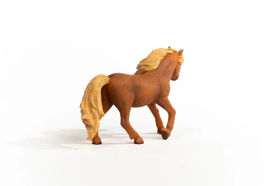 Island Pony Hengst