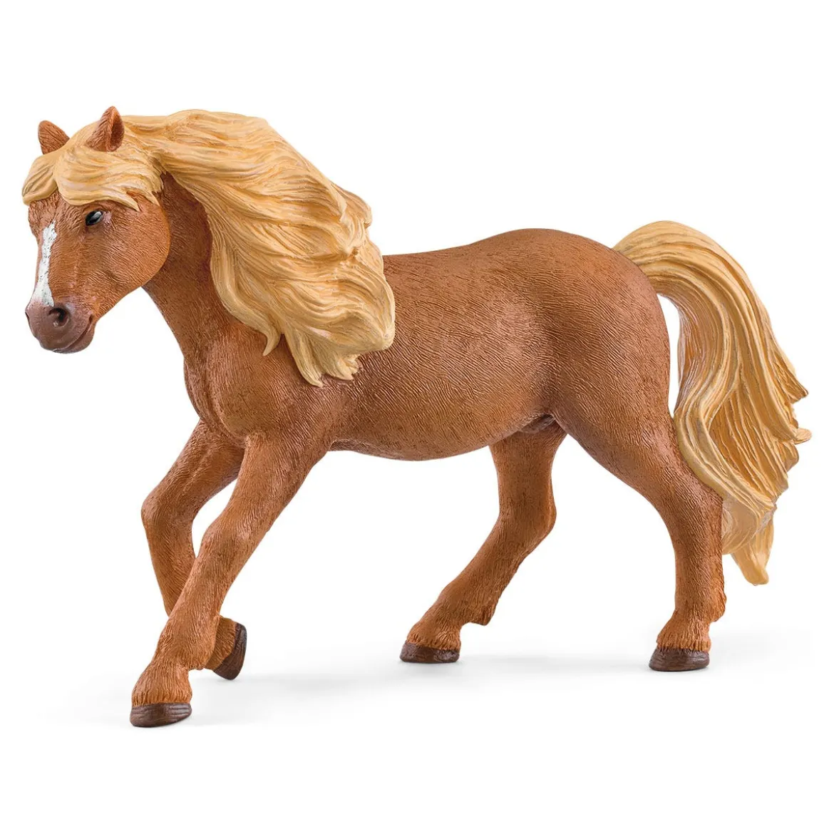 Island Pony Hengst