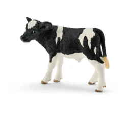 Kalb Schwarzbunt