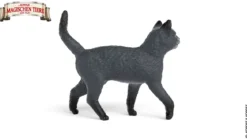 Karajan der Kater