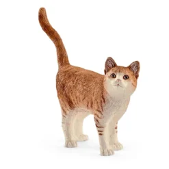 Katze