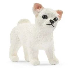 Kutsche für Pferdeshow