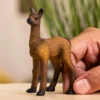 Lama Fohlen