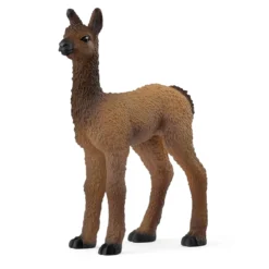 Lama Fohlen