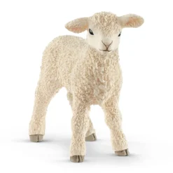 Lamm (Bundle)