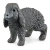 Langohrhase