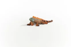 Leguan