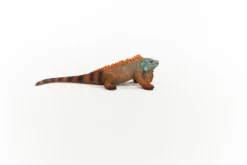 Leguan