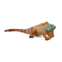 Leguan