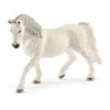 Lipizzaner Stute