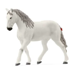 Lipizzaner Wallach