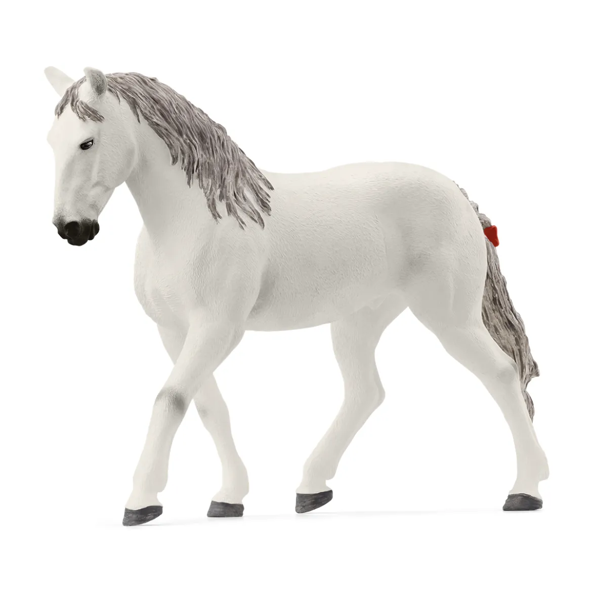 Lipizzaner Wallach