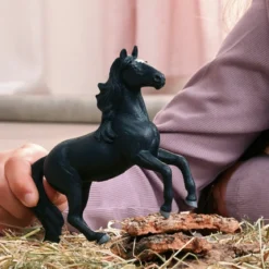 Lusitano Hengst