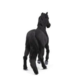 Lusitano Hengst