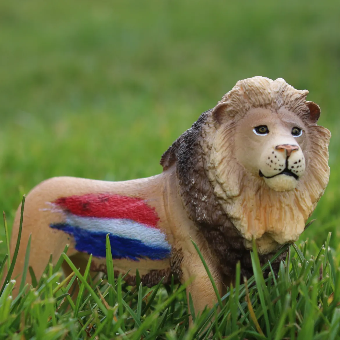 Löwe Niederlande