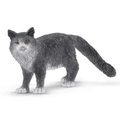 Maine-Coon-Katze