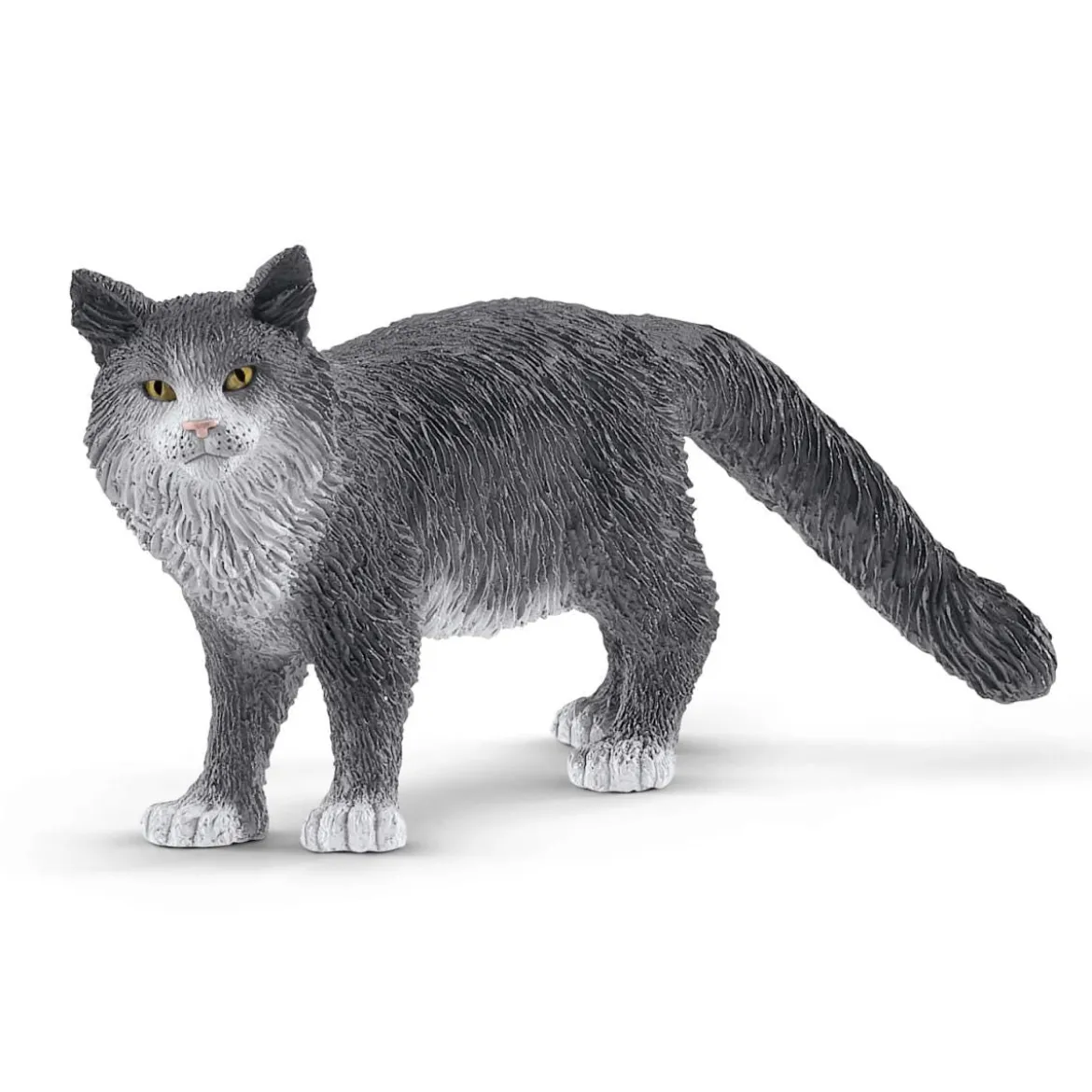 Maine-Coon-Katze