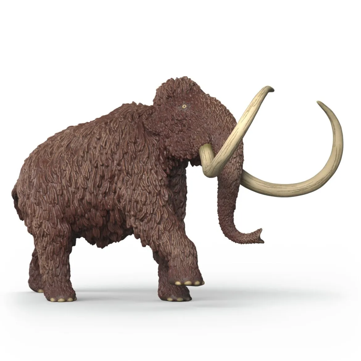 Mammut