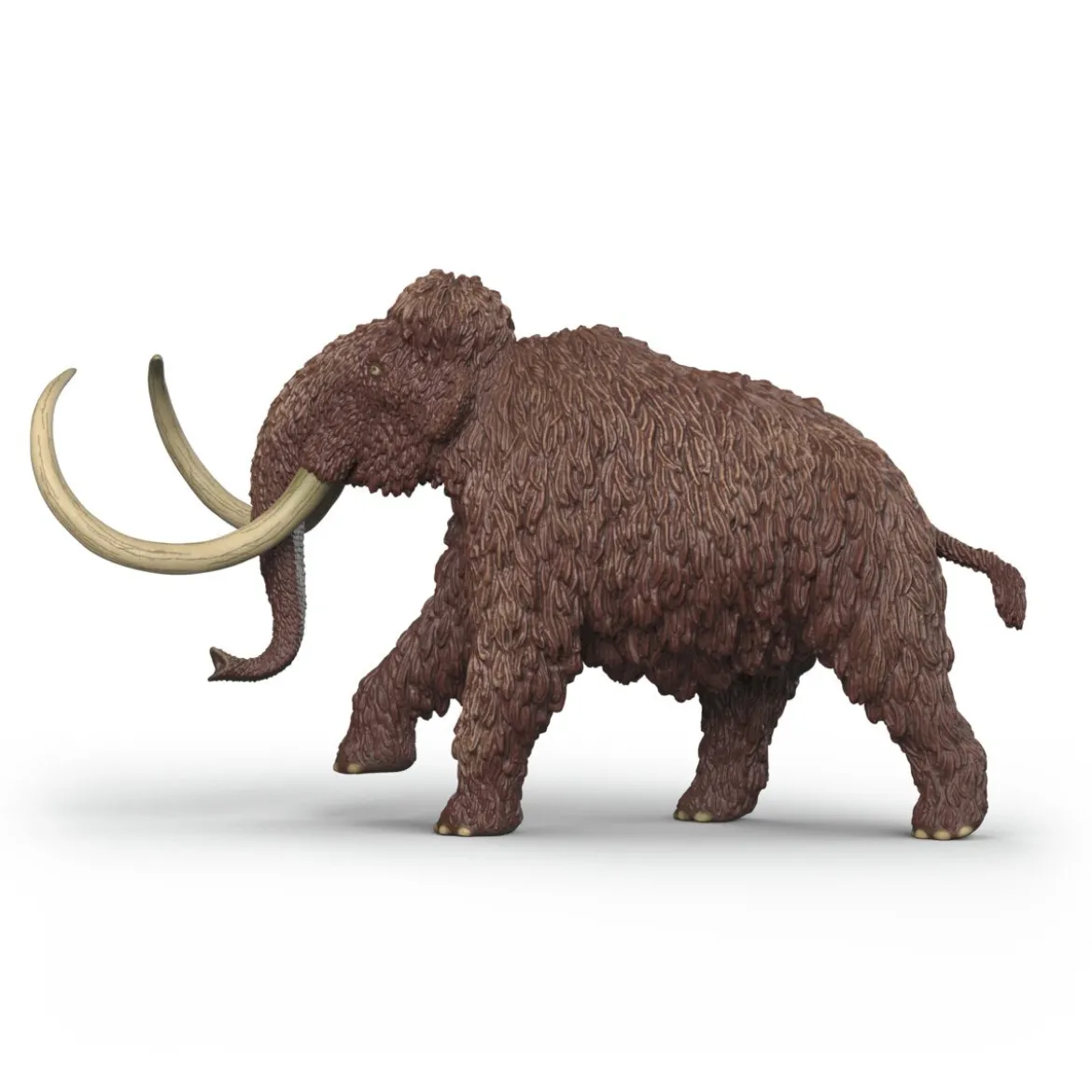 Mammut
