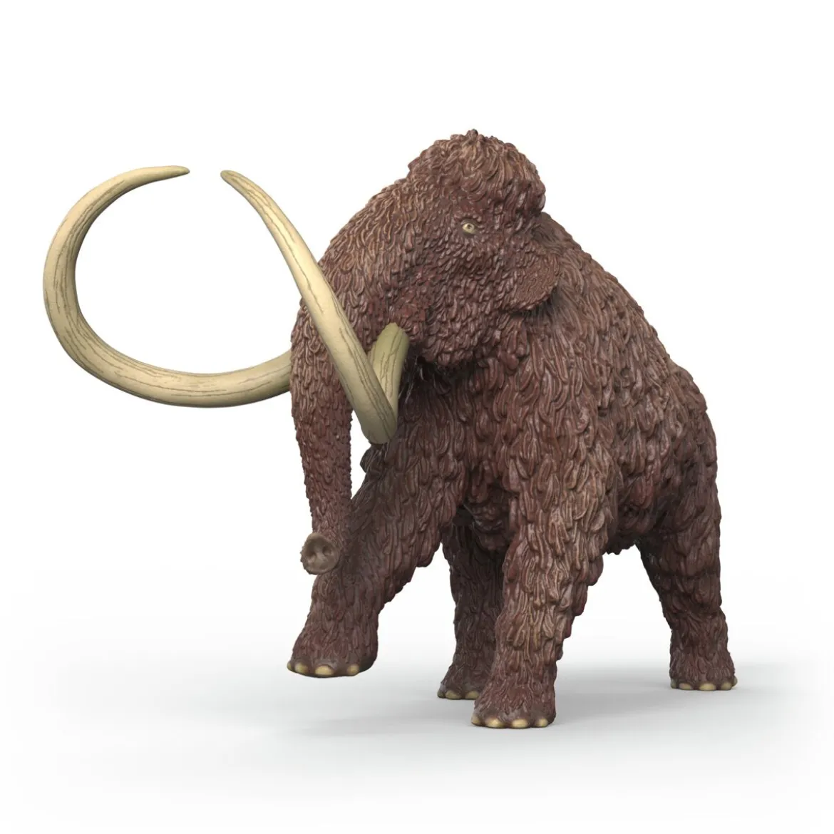 Mammut