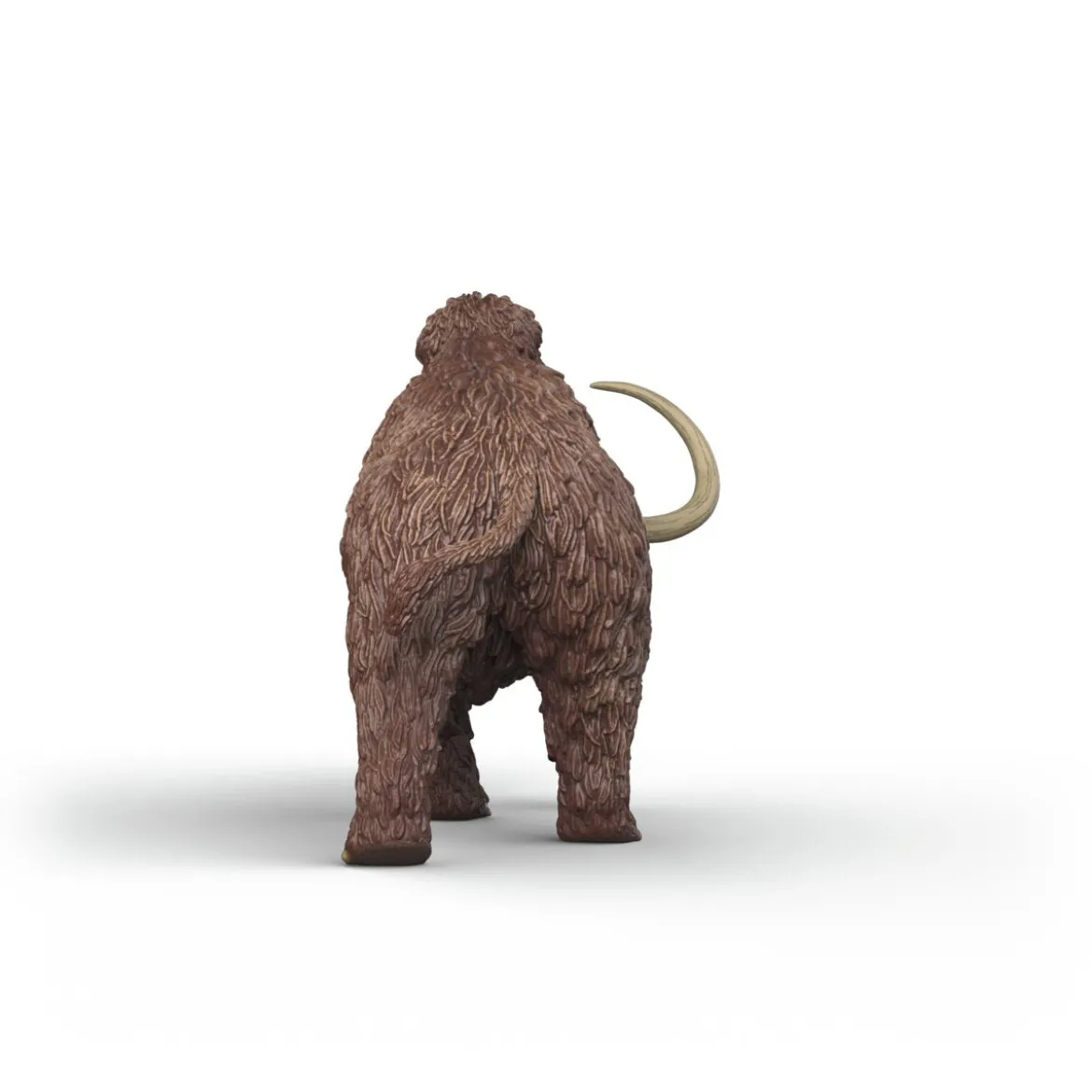 Mammut